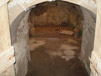 Il mosaico della Domus Romana